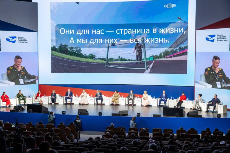 ВКК Рубеж новости
